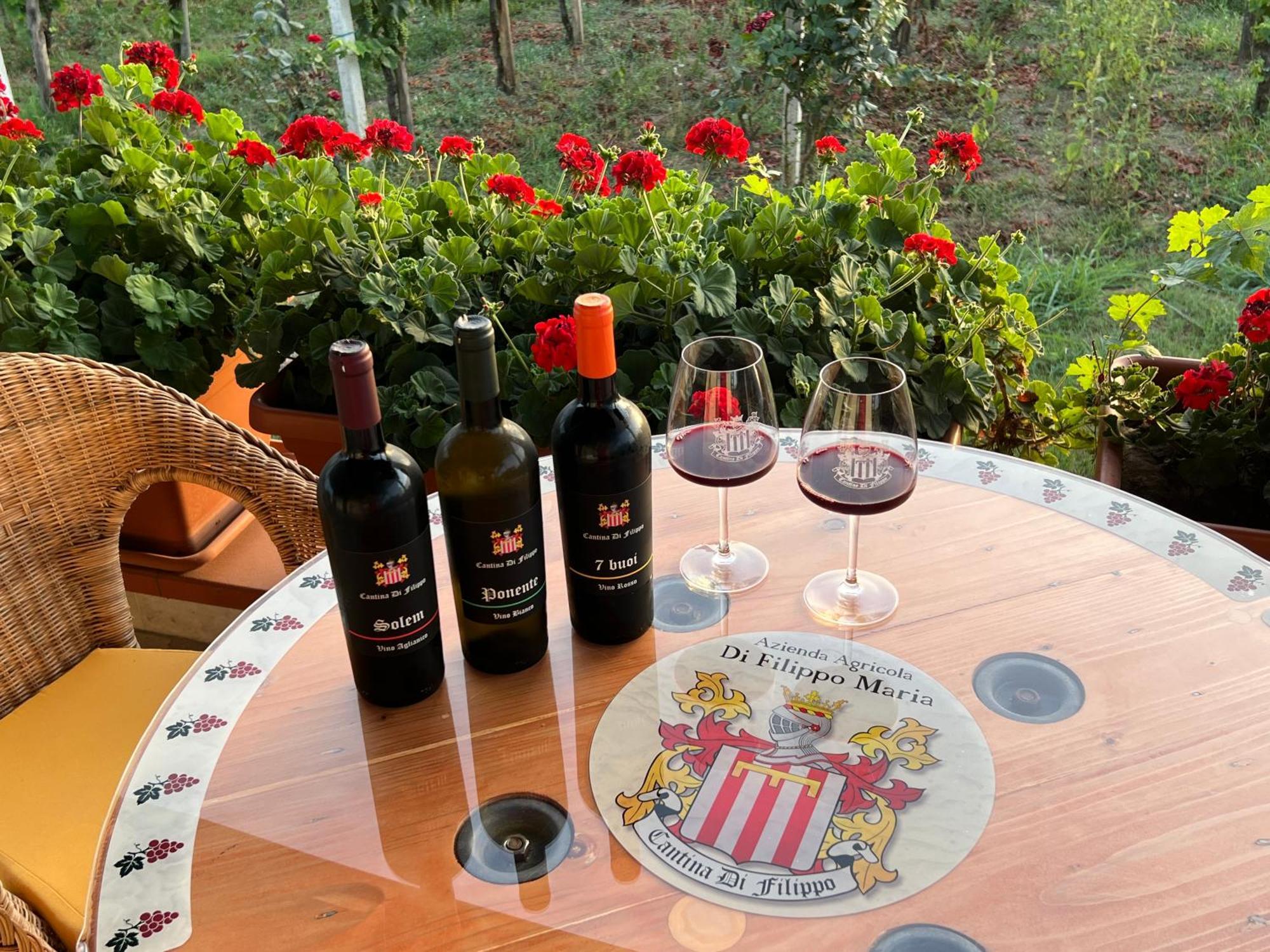 Vigna Di Filippo - Bed & Breakfast Paestum