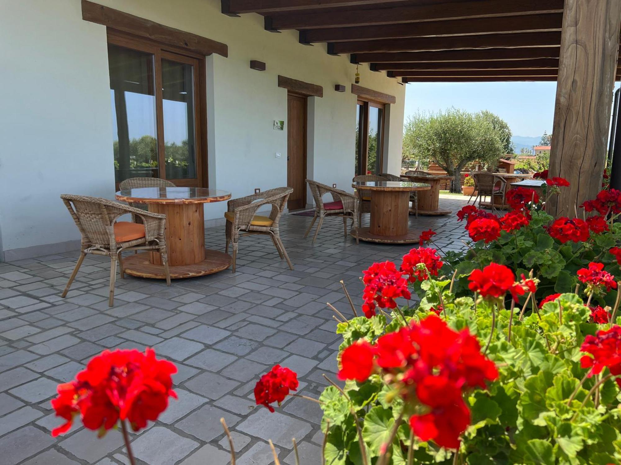 Vigna Di Filippo -